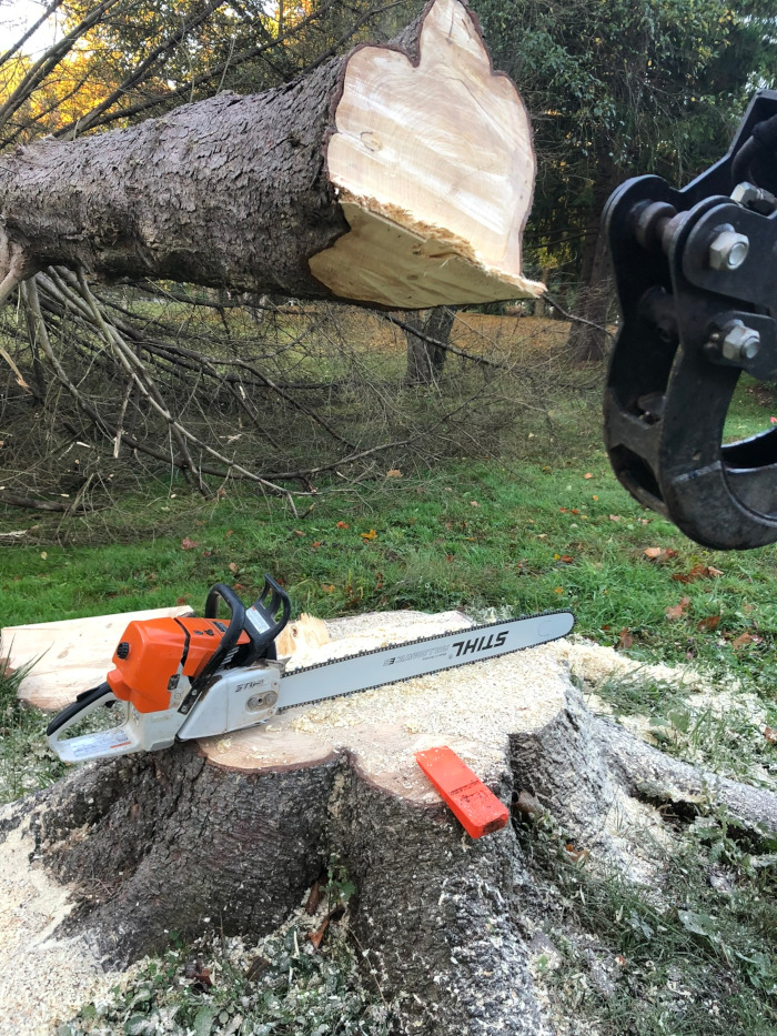 tree-removal-with-chainsaw