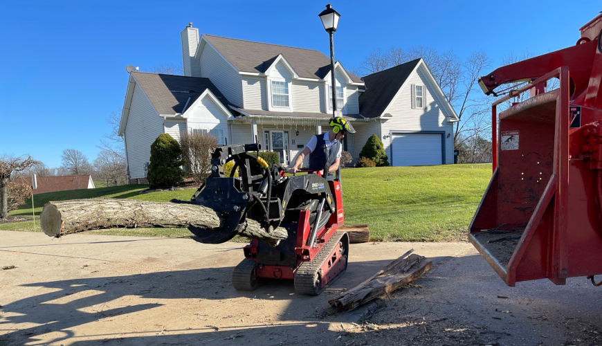 residential-tree-removal