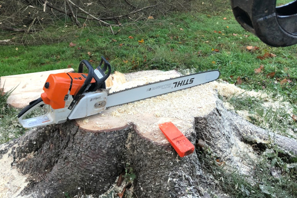 chainsaw-on-stump