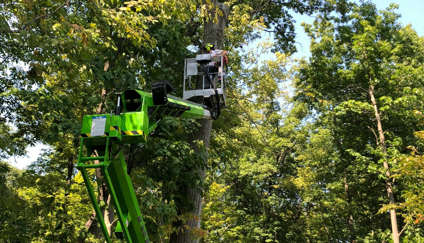 tree-trimming-in-lift